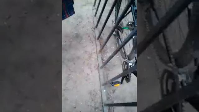 Здоров собака смотреть онлайн