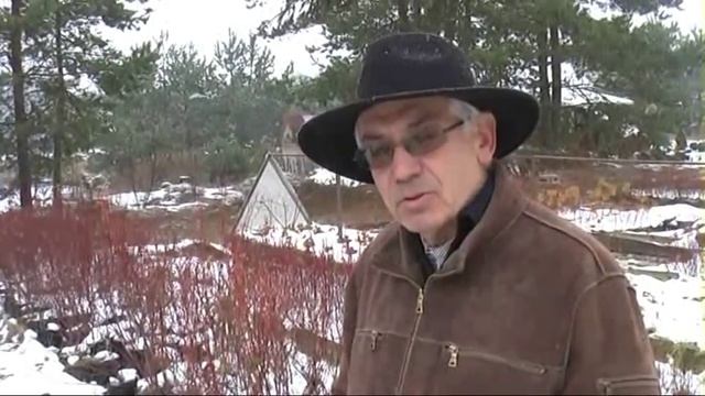 Как правильно укрывать саженцы голубики смотреть онлайн