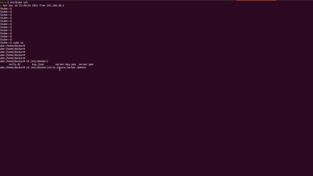 Importando certificado do harbor no minikube / K8S смотреть онлайн