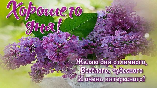 Желаю хорошего дня! смотреть онлайн