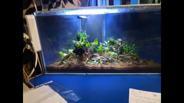 Светильник XiLong Led-MS 60. Для креветочника.