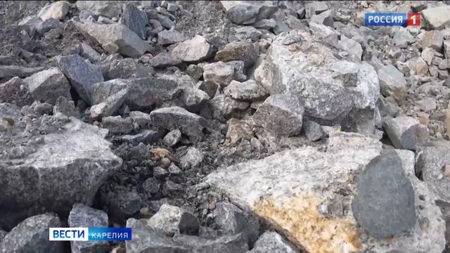 В Медвежьегорском районе открыли дробильно-сортировочный комплекс смотреть онлайн