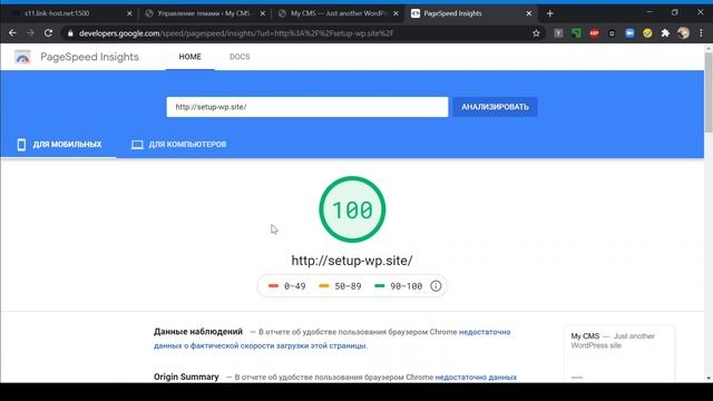 Быстрая установка Wordpress. PageSpeed 100. Всё просто смотреть онлайн