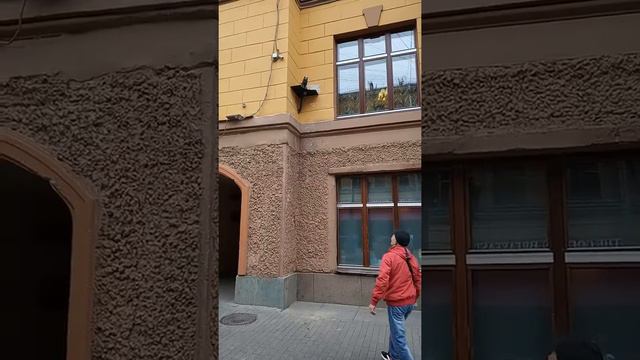 Памятник коту Елисею на Малой Садовой улице, Санкт-Петербург