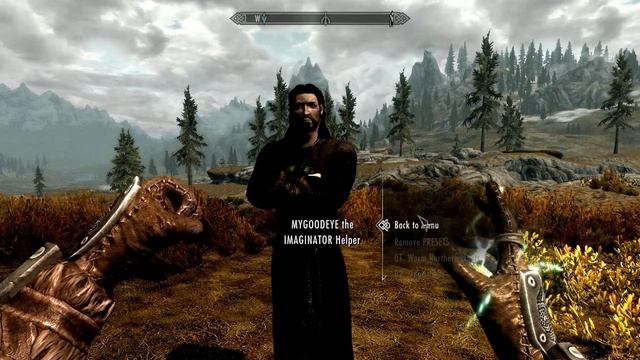 Skyrim Mods - IMAGINATOR - Visual Control Device for Skyrim смотреть онлайн