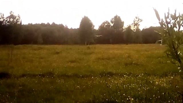 Здравствуй аист! смотреть онлайн