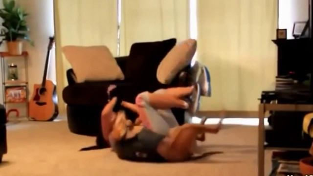 Животные спортсмены. Партнёры по тренировке.mp4 смотреть онлайн