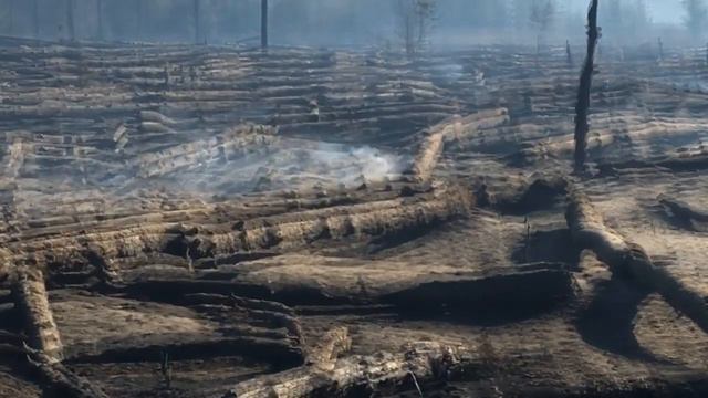 Пожар в Каменском районе 23 августа