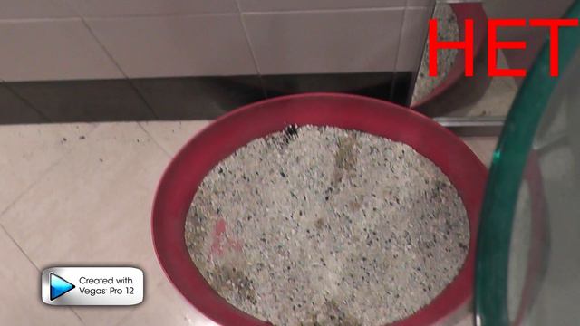 Свадебное видео поздравление смотреть онлайн