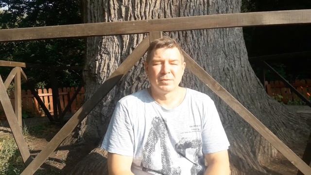 Дыхательный пост у дуба, которому 640 лет. смотреть онлайн