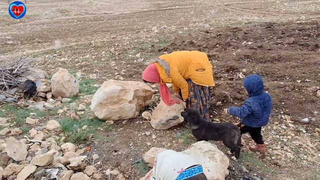 The chain of goodness: from rescuesing a puppy to rescuesing Asra #nomad #puppy смотреть онлайн