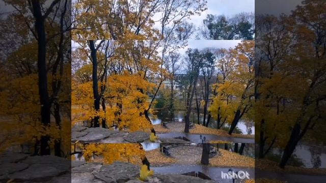 авторы видео Тамара и Ольга Ушаковы. смотреть онлайн