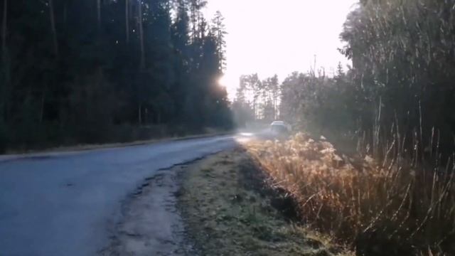 Природа в реабилитационном центре Аксаковщина смотреть онлайн