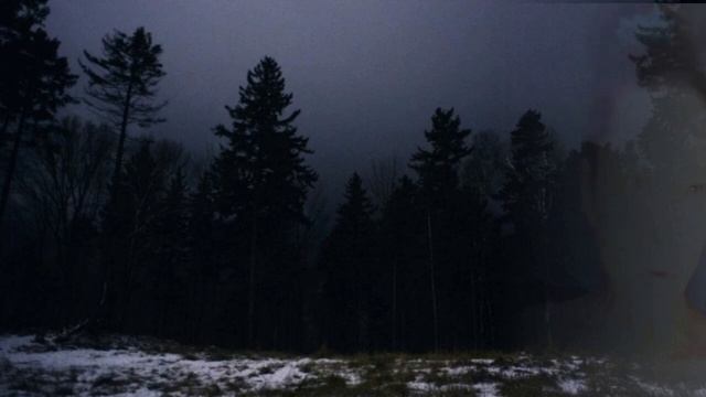 Метель. Декабрь (2ч.3-5гл.) Иван Мележ смотреть онлайн