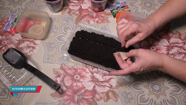 Посев семян томатов, новые сорта смотреть онлайн