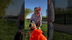 КАК Я ОКАЗАЛАСЬ У HOOOTDOGS?? И ГДЕ МЯТА?!?