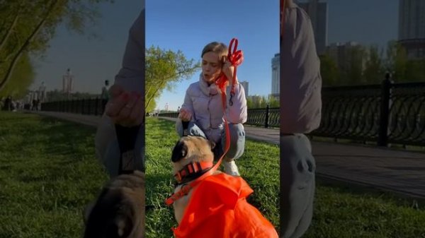 КАК Я ОКАЗАЛАСЬ У HOOOTDOGS?? И ГДЕ МЯТА?!?