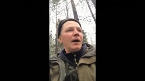 Золото осени, охота с лайкой на осеннего медведя