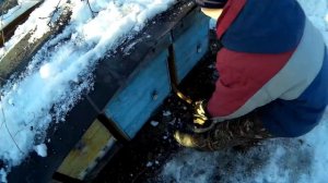 Зимовка пчел на воле 30 лет опыта.