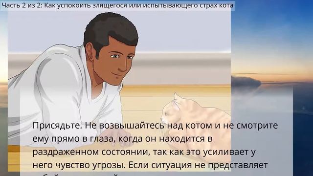 Как успокоить агрессивного кота смотреть онлайн