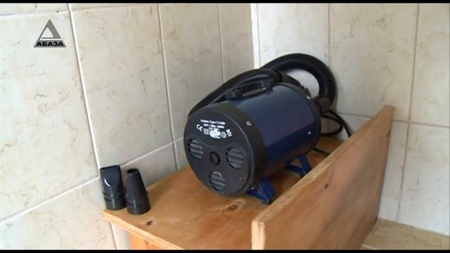 Кинологический городок смотреть онлайн