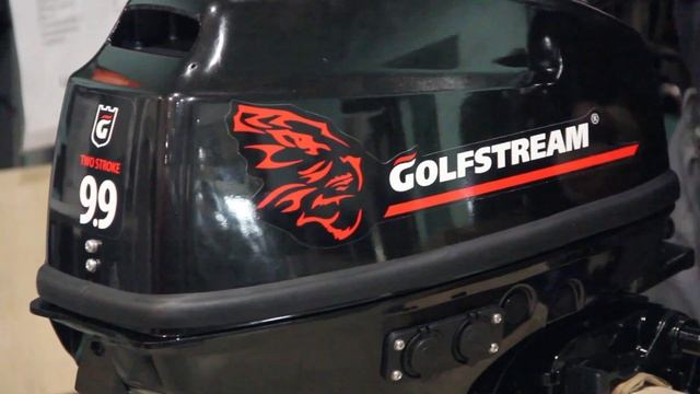 ОБЗОР Мотор лодочный 2-х тактный GOLFSTREAM Т9.9ВМS USB смотреть онлайн