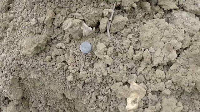 Golden MASK 5 hammered coin live dig смотреть онлайн