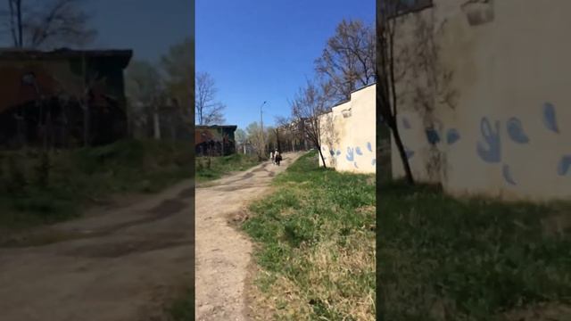 В Тбилисском зоопарке смотреть онлайн