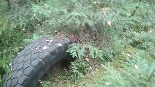 VID_20230916_113652.mp4 смотреть онлайн