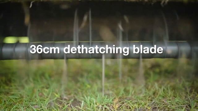 Webb WEESR 2 In 1 Electric Scarifier & Lawn Rake