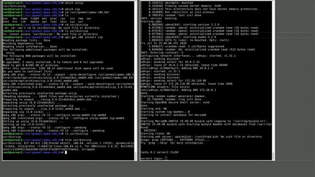 Installing and running emulated x86, ARM and RISC-V binaries on a Prodigy emulator смотреть онлайн