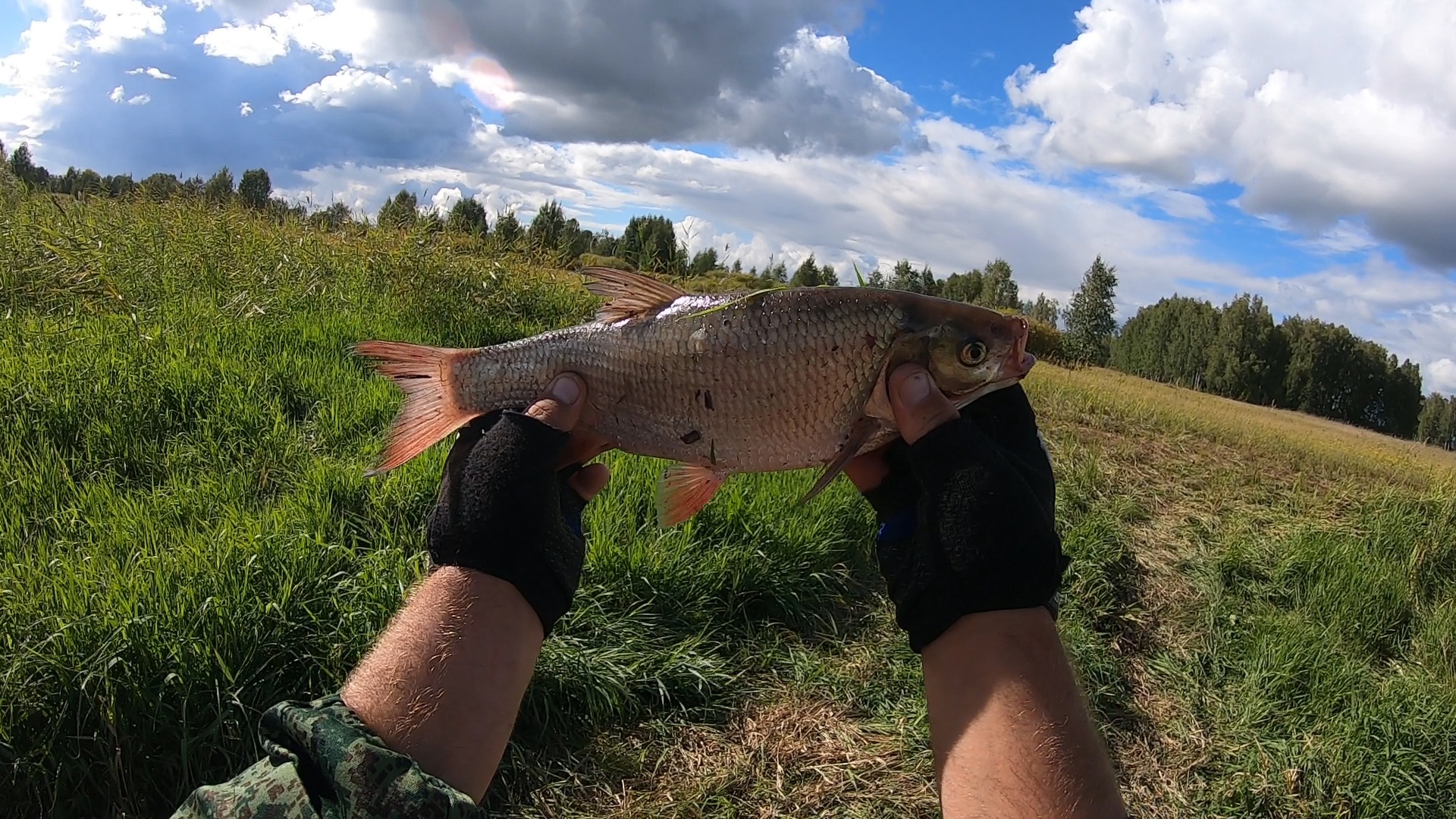 Язь рыба моей мечты. Рыбалка на реке Каргат смотреть онлайн