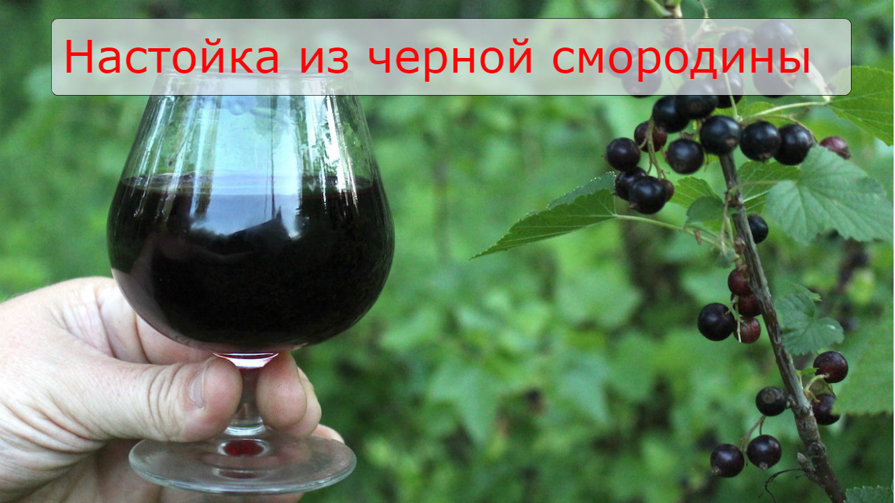 Все обо всем