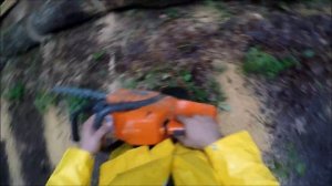 Powerful Husqvarna 340 saws oak, first person view