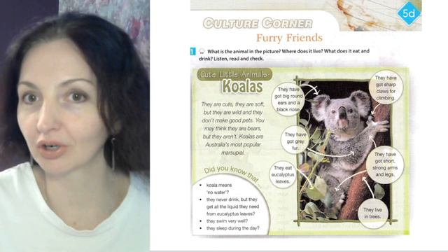 Spotlight 5 класс (Спотлайт 5) Английский в фокусе 5кл./ Урок 34, Unit 5d, стр.71