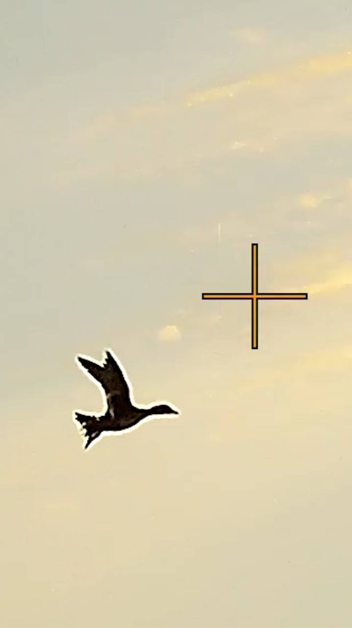 Наши лучшие выстрелы по утке. Полная версия - ссылка в описании. смотреть онлайн