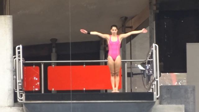 Sony HX20V / HX30V High Dive video sample смотреть онлайн