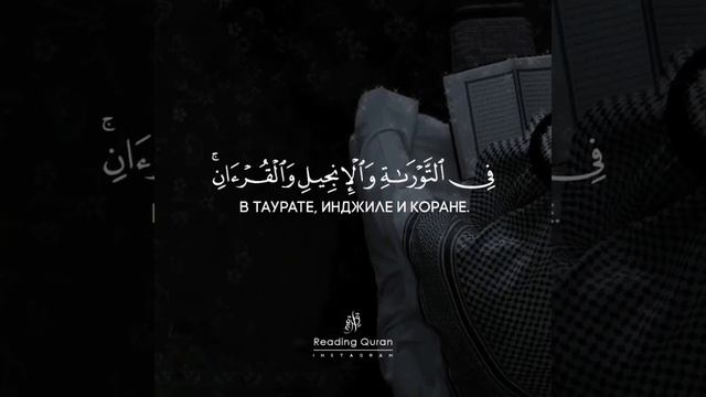 Коран Сура 9 «Покаяние», аят 111. Чтец: Мухаммад Тарик смотреть онлайн