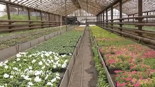 Подготвка к посадке цветов  в Алматы