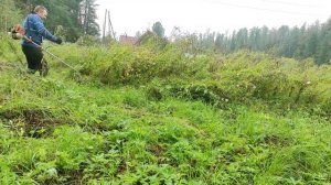 Какой Выбрать нож для триммера трех или  из четырех лезвий