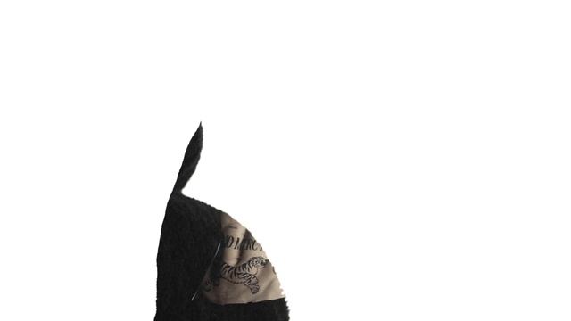 masnada fw 18 19 The Shape Inside смотреть онлайн
