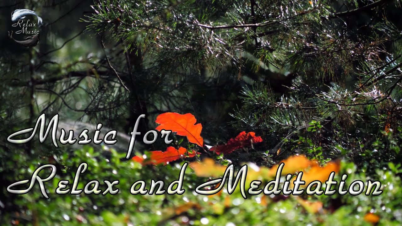 Красивая музыка со звуками природы для отдыха, медитации и устранения негативных состояний смотреть онлайн
