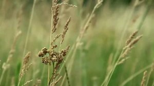 ЗА ТОГО ПАРНЯ 1