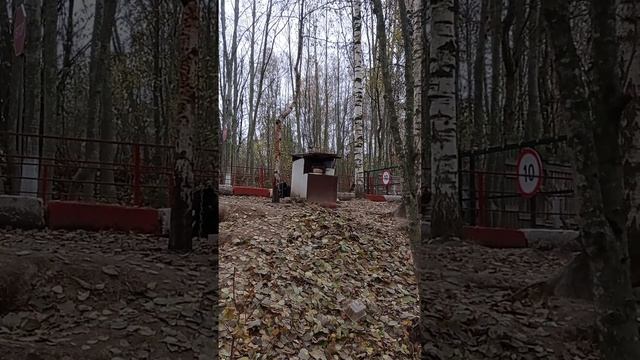 перестановка собак..??️?️? смотреть онлайн