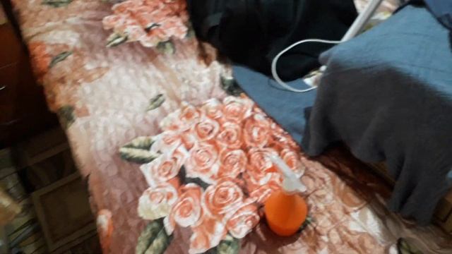 Как избавиться от клопов за 5 минут смотреть онлайн