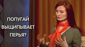 Почему попугай выщипывает перья