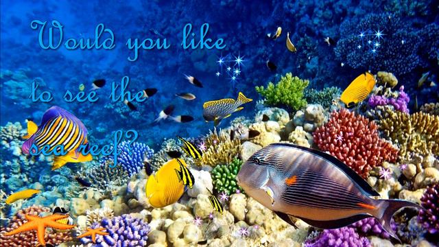 THE GREAT BARRIER REEF OFFICIAL SONG смотреть онлайн