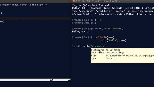Demonstrating Vim-Jupyter integration смотреть онлайн