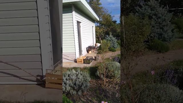 Время копать топинамбур смотреть онлайн