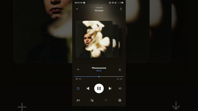 Ramil - Меланхолия